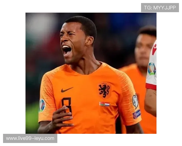 维纳尔杜姆:荷兰中场再展风采,领航球队新篇章 维纳尔杜姆:荷兰中场再展风采,领航球队新篇章